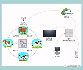 一個你不知道的神器！不了解它，連牛羊都不讓你養，你還談什么智慧養殖？